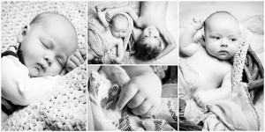 4er-Collage mit Portraits von Baby mit älterem Geschwisterkind in Schwarz/Weiß